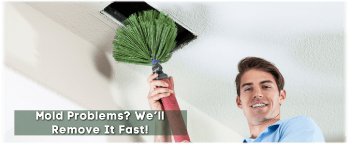 Air Duct Mold Removal in Aurora IL