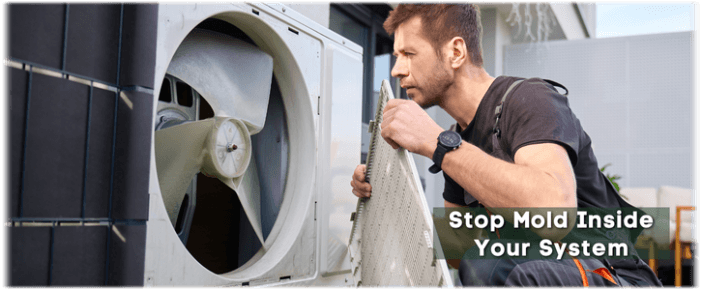 HVAC Mold Removal Aurora IL